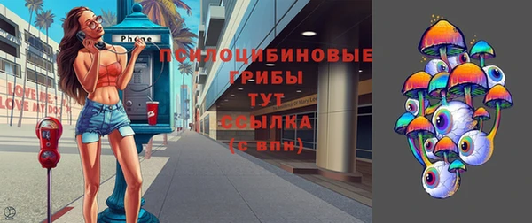 винт Арсеньев